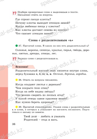 Какие птицы в природе выводят птенцов зимой и почему